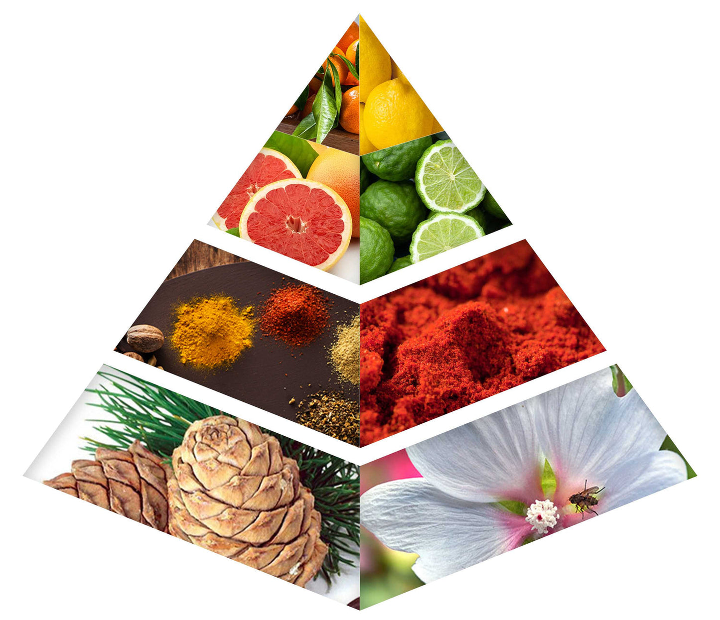 MAGNATE PREMIER 100ML EDP SPRAY